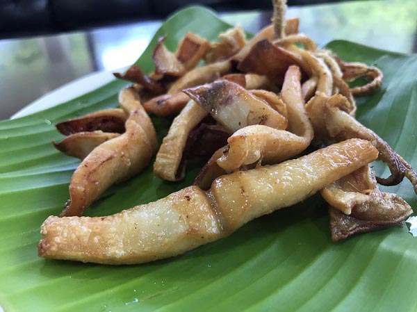 ปลาหมึกแดดเดียว ปลาหมึกแดดเดียว