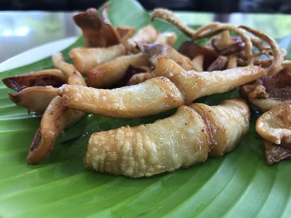 ปลาหมึกแดดเดียว ปลาหมึกแดดเดียว