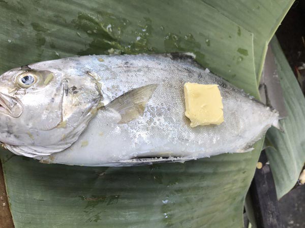 ปลาสำลีทอดราดน้ำยำมะม่วง ปลาสำลีทอดราดน้ำยำมะม่วง