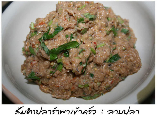 15 สูตรอาหารเย็นไม่อ้วน 15 สูตรอาหารเย็นไม่อ้วน
