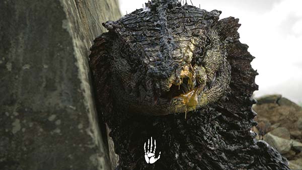 Oats Studios Oats Studios