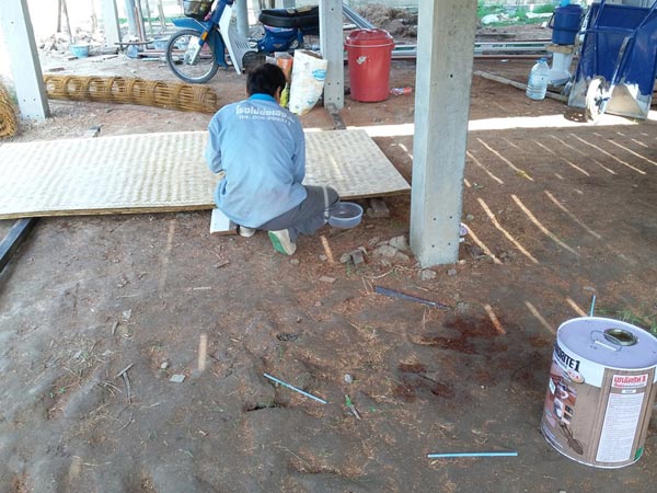 บ้านไม้ชั้นเดียวใต้ถุนสูง บ้านไม้ชั้นเดียวใต้ถุนสูง