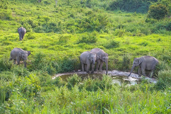 ปฏิทินท่องเที่ยวอุทยานแห่งชาติ 2561 ปฏิทินท่องเที่ยวอุทยานแห่งชาติ 2561