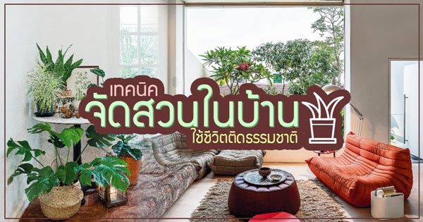 จัดสวนในบ้าน จัดสวนในบ้าน