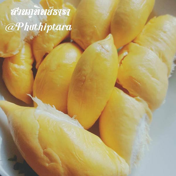 บุฟเฟ่ต์ผลไม้ 2560 บุฟเฟ่ต์ผลไม้ 2560