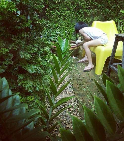 ต่อเติมห้องกระจกข้างบ้าน ต่อเติมห้องกระจกข้างบ้าน