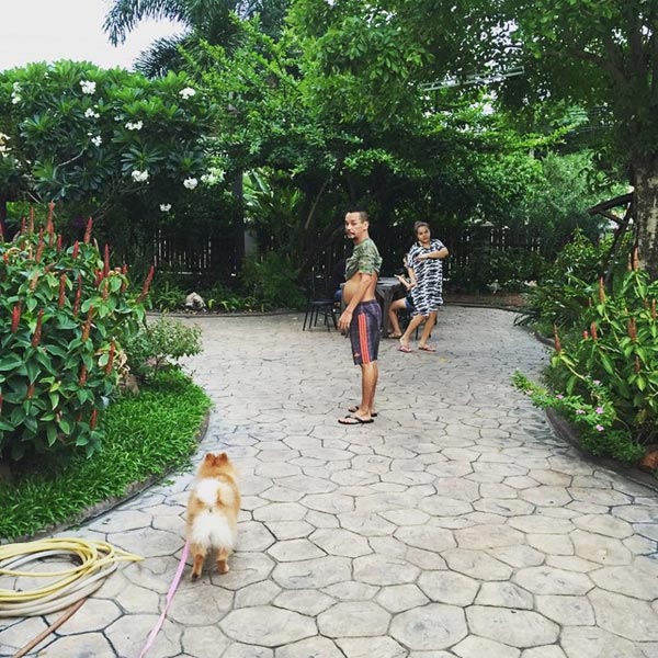 บ้านดาราตลก บ้านดาราตลก