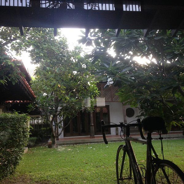 บ้าน มอส ปฏิภาณ บ้าน มอส ปฏิภาณ