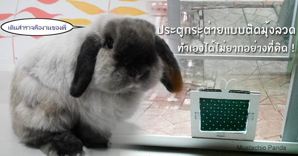 ประตูกระต่ายแบบติดมุ้งลวด ประตูกระต่ายแบบติดมุ้งลวด
