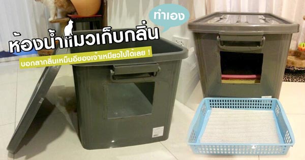 ห้องน้ำแมว ห้องน้ำแมว