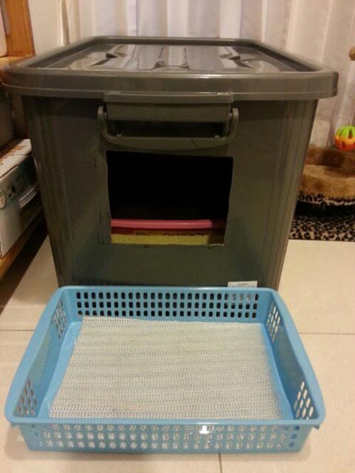 ห้องน้ำแมว ห้องน้ำแมว