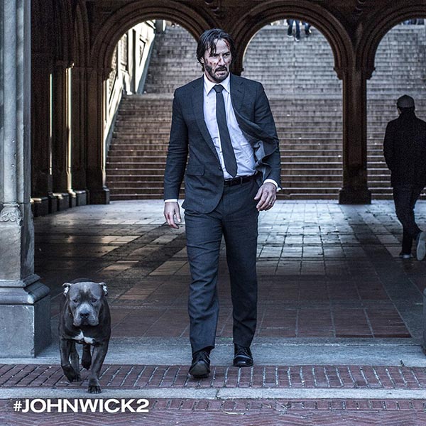 John Wick Chapter 2 John Wick Chapter 2