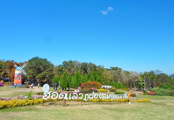 งานหนาวนี้ที่ภูฝอยลม 2560 งานหนาวนี้ที่ภูฝอยลม 2560