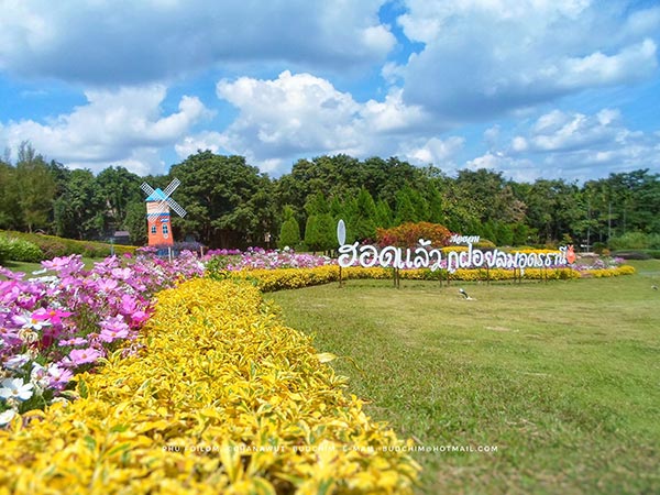 งานหนาวนี้ที่ภูฝอยลม 2560 งานหนาวนี้ที่ภูฝอยลม 2560