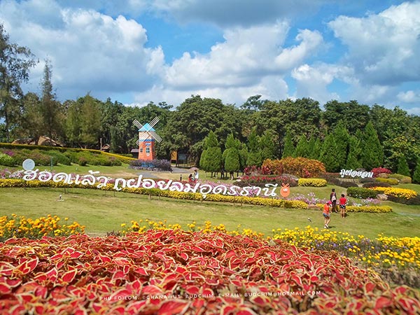 งานหนาวนี้ที่ภูฝอยลม 2560 งานหนาวนี้ที่ภูฝอยลม 2560