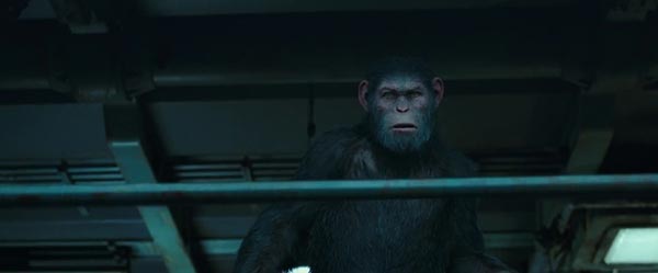 War for the Planet of the Apes War for the Planet of the Apes