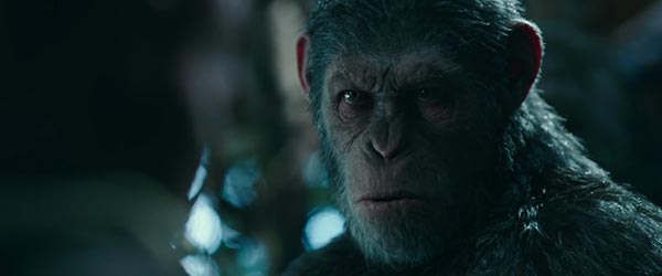 War for the Planet of the Apes War for the Planet of the Apes