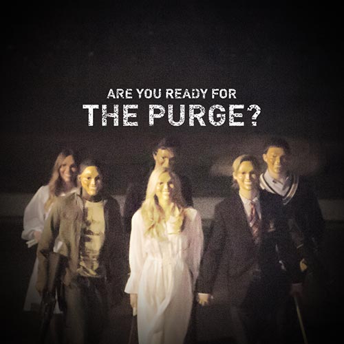 The Purge The Purge