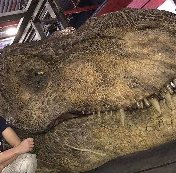 Jurassic World Fallen Kingdom Jurassic World Fallen Kingdom