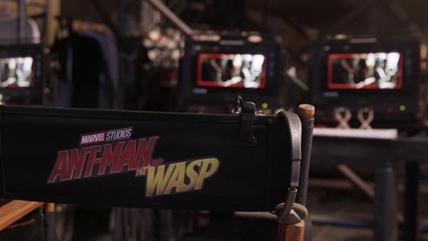 AntMan the Wasp AntMan the Wasp