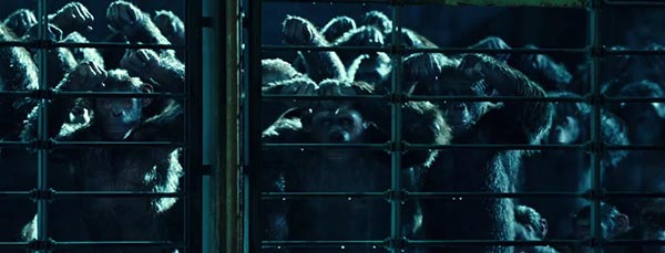 War for the Planet of the Apes War for the Planet of the Apes