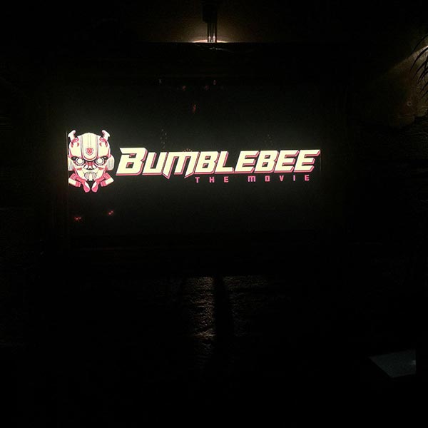 Bumblebee Bumblebee