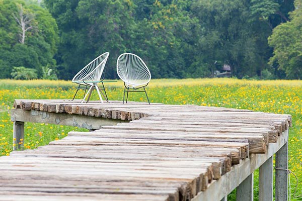 ทุ่งคอสมอส ทุ่งคอสมอส