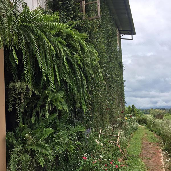 ร้านกาแฟน่านั่ง ร้านกาแฟน่านั่ง