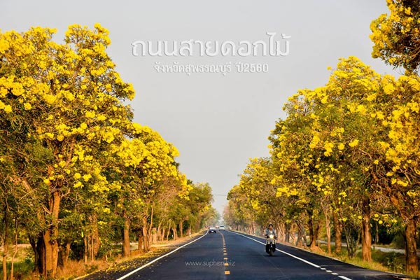 เหลืองปรีดียาธร เหลืองปรีดียาธร