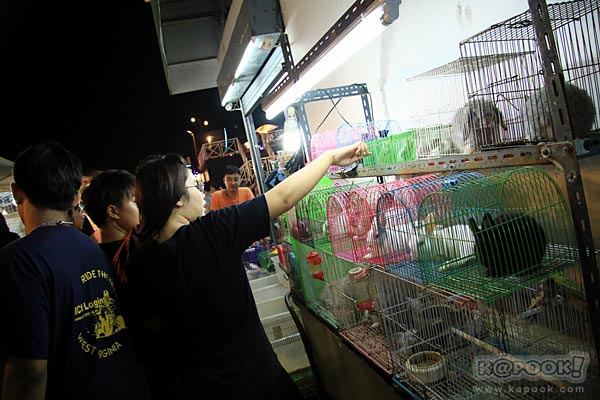 ตลาดคนเดินสายใต้ใหม่ ตลาดคนเดินสายใต้ใหม่