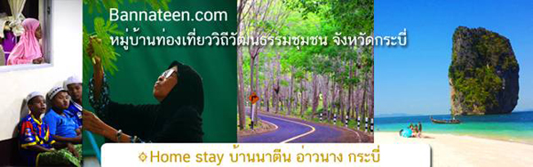 ชุมชนท่องเที่ยวเชิงวัฒนธรรม ชุมชนท่องเที่ยวเชิงวัฒนธรรม