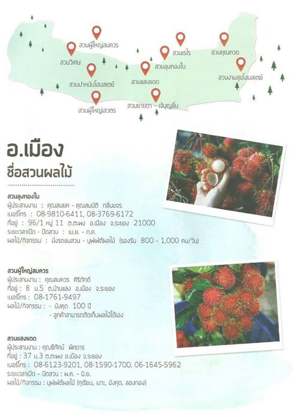 สวนผลไม้ระยอง สวนผลไม้ระยอง