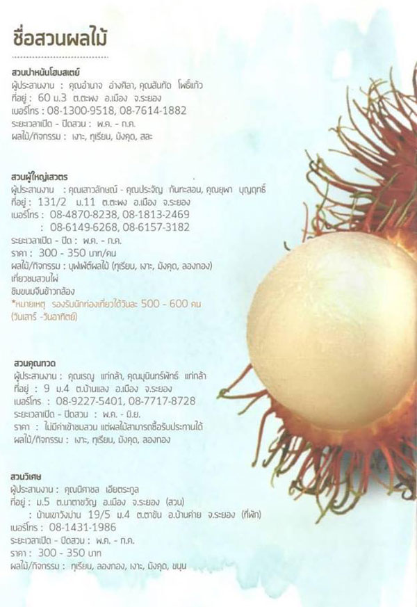 สวนผลไม้ระยอง สวนผลไม้ระยอง