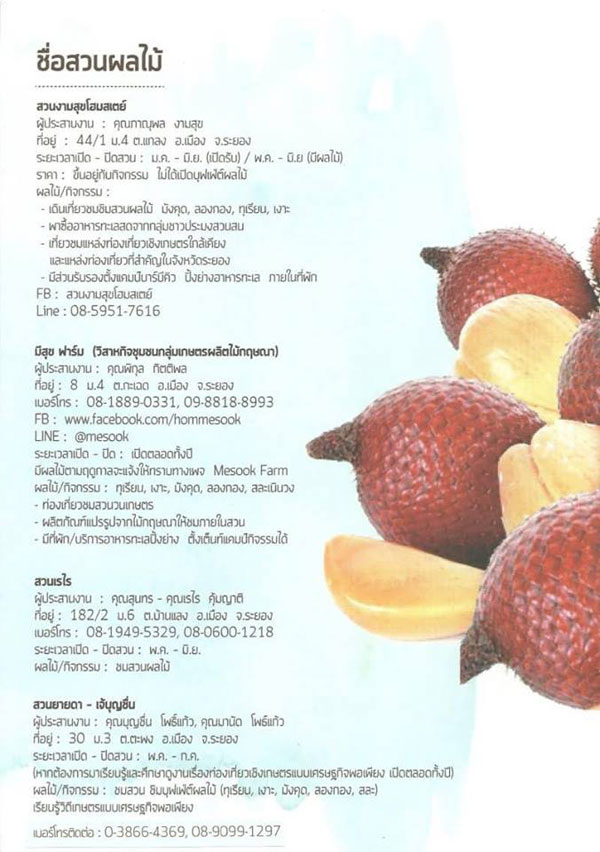 สวนผลไม้ระยอง สวนผลไม้ระยอง