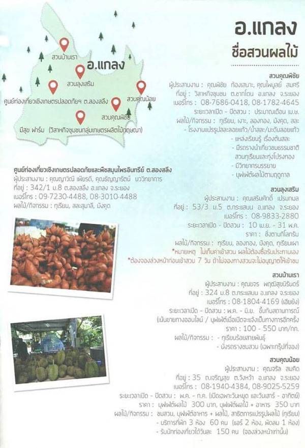 สวนผลไม้ระยอง สวนผลไม้ระยอง