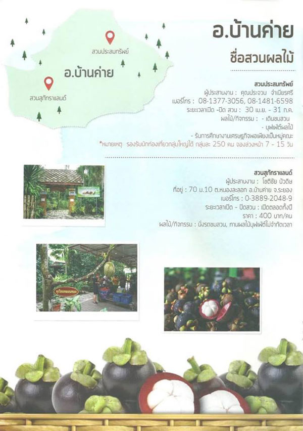 สวนผลไม้ระยอง สวนผลไม้ระยอง