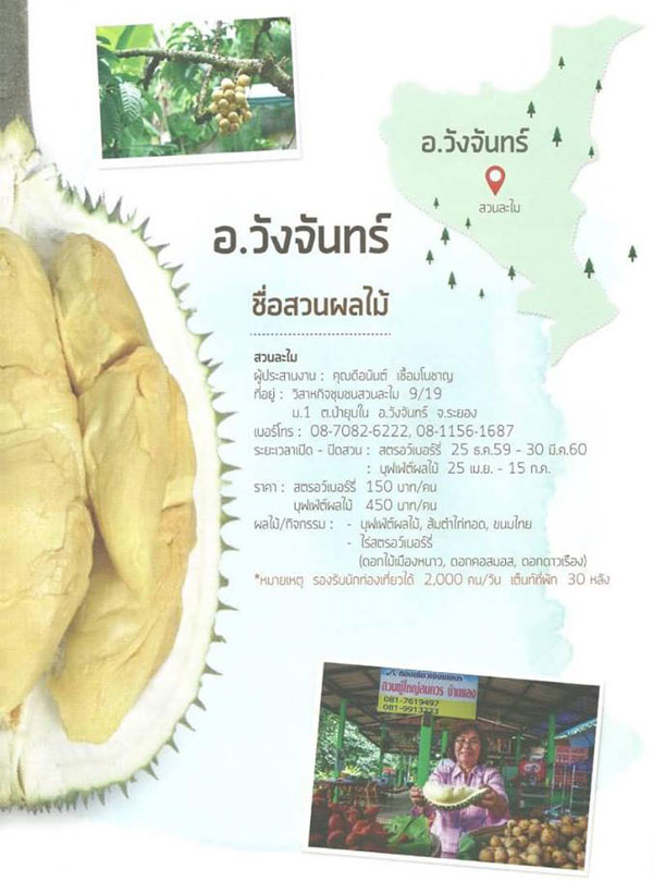 สวนผลไม้ระยอง สวนผลไม้ระยอง