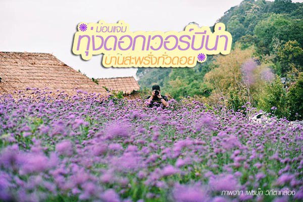 ม่อนแจ่ม ม่อนแจ่ม