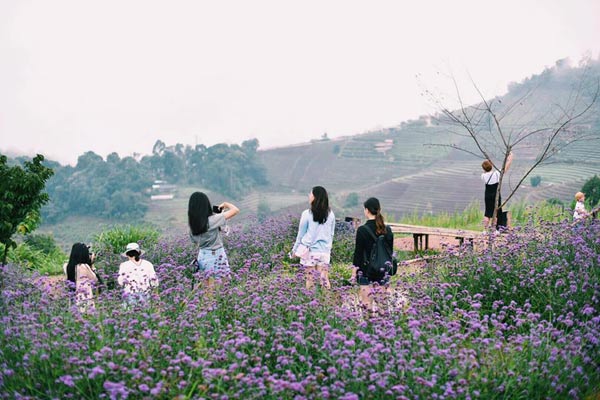 ม่อนแจ่ม ม่อนแจ่ม