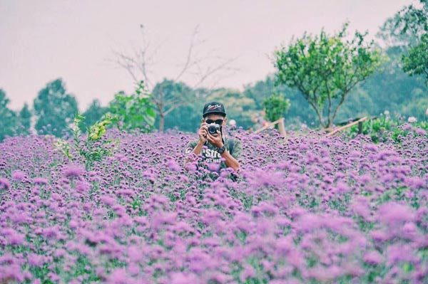 ม่อนแจ่ม ม่อนแจ่ม