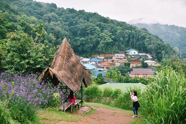 ม่อนแจ่ม ม่อนแจ่ม