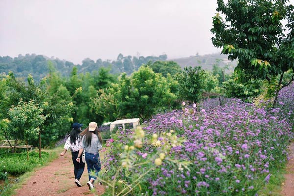 ม่อนแจ่ม ม่อนแจ่ม