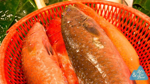 Taipei Fish Market Taipei Fish Market