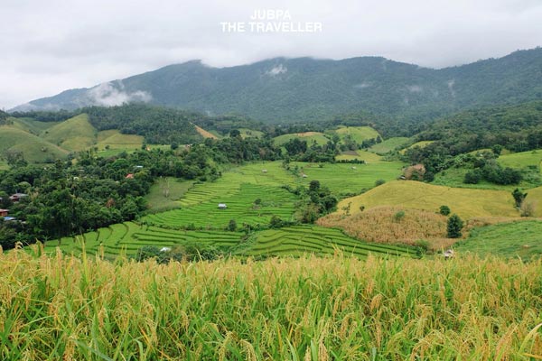 แม่แจ่ม แม่แจ่ม