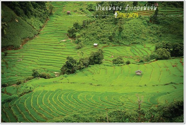 แม่แจ่ม แม่แจ่ม