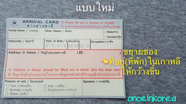 ใบ ตม. เกาหลี ใบ ตม. เกาหลี