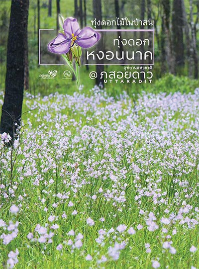 ภูสอยดาว ภูสอยดาว