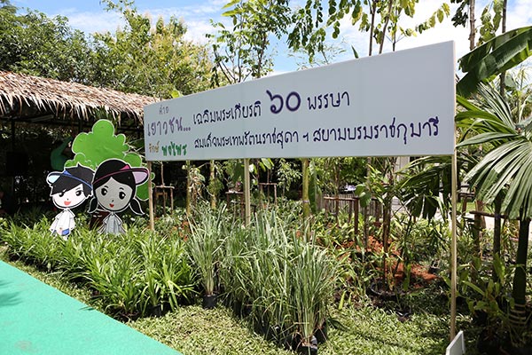 วันแม่ วันแม่