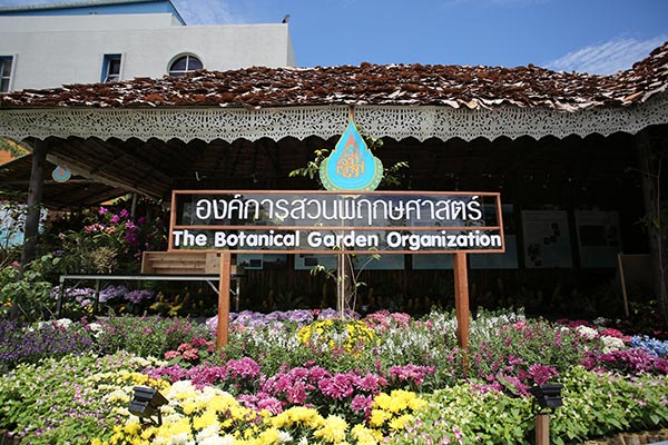 วันแม่ วันแม่