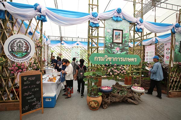 วันแม่ วันแม่